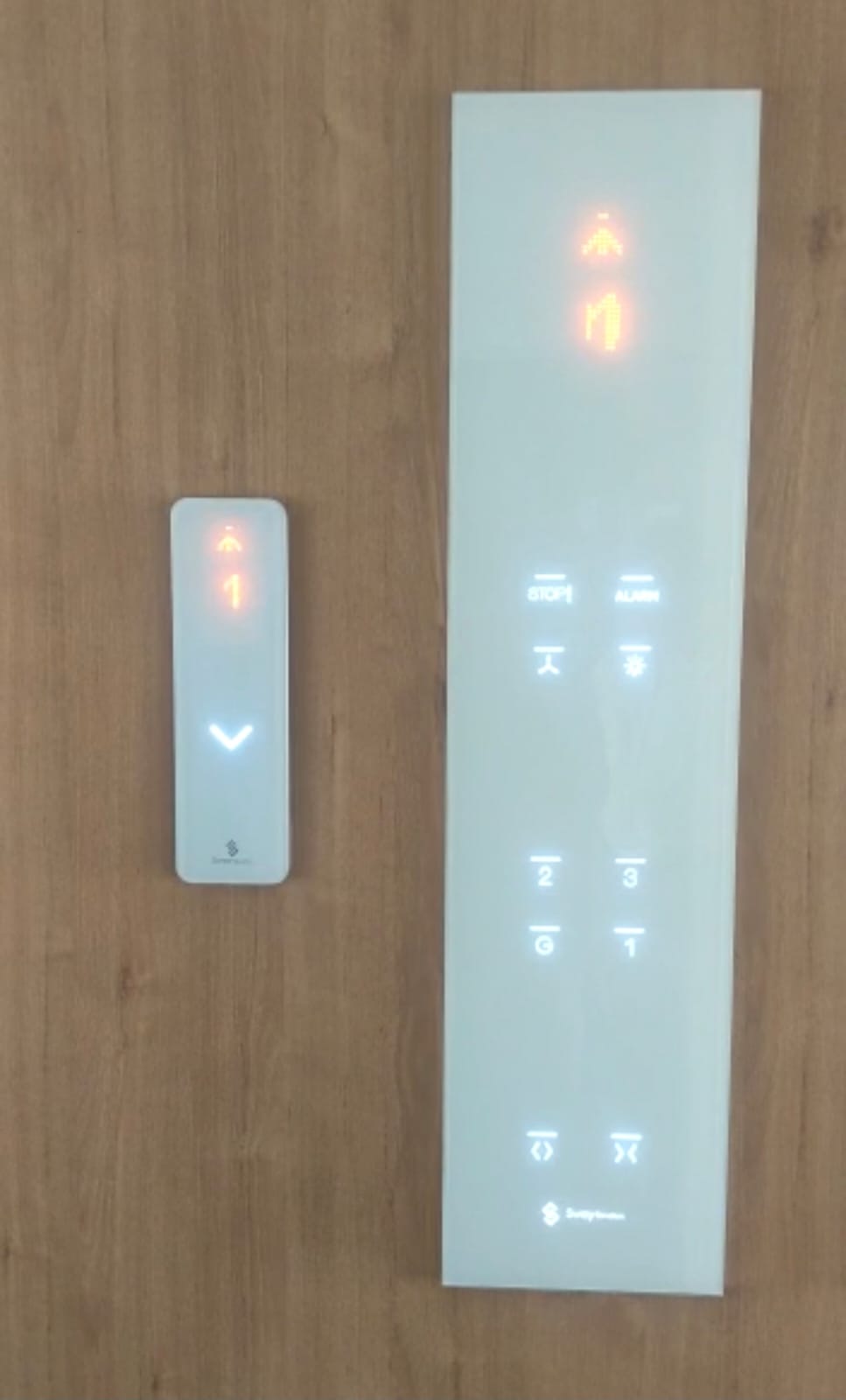 Electric Capsule Elevator